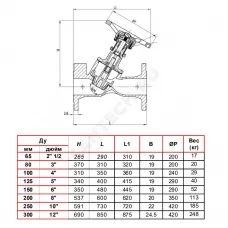 Клапан балансировочный чугун RC 4240 Ду 100 Ру16 фл Tecofi RC4240-0100
