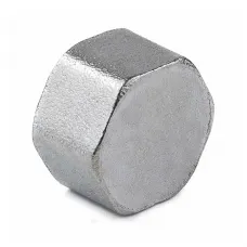 Заглушка латунь никель Ду 50 (2") ВР 9016 ГОСТ 32585-2013 Aquasfera 9016-06