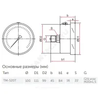 Манометр гидрозаполненный ТМ-520Т.20 осевой Дк100мм 0-0,6 МПа кл.1,0 G1/2" силикон Росма 00000031033