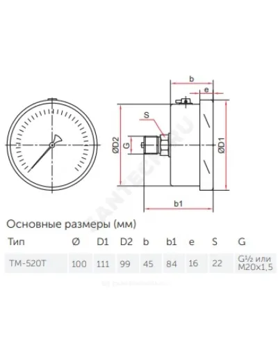 Манометр гидрозаполненный ТМ-520Т.20 осевой Дк100мм 0-0,6 МПа кл.1,0 G1/2 силикон Росма 00000031033