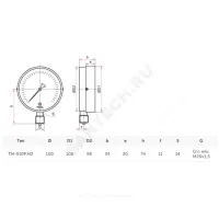 Манометр ТМ-510Р.00 М2 радиальный Дк100мм 0-0,25 МПа кл.1,5 G1/2" Росма 00000007644